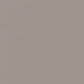 Tortora color swatch, matte finish, warm gray-brown tone, uniform surface, subtle text label, diffused lighting, neutral background.