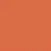 Terracotta orange color field, muted warm tone, even lighting, consistent flat surface, no texture or variation, simple background composition.