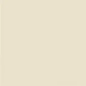 Pale beige solid color field, smooth matte surface, consistent warm tone with yellow undertones, neutral background element.