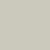 Beige monochromatic field with subtle gray undertones, presenting a matte, uniformly colored backdrop and simple visual structure.