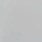 Pale gray flat surface, consistent matte texture, minimalist composition, neutral backdrop, uniform color, smooth even tone, lacking patterns.