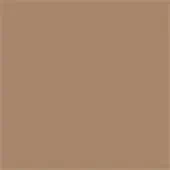 Muted brown color field, uniform matte texture, consistent earthy tone, flat composition, diffuse lighting, solid rectangular shape, no patterns visible.