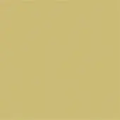 Honey-colored paint fills the frame, a muted warm yellow with beige undertones, presenting a smooth, matte, and uniformly saturated surface.