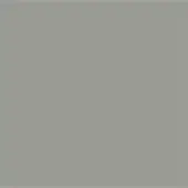Neutral gray field, matte texture, consistent tone, flat visual plane, no patterns or gradients, uniform color, cool neutral hue, solid background.