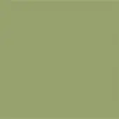 Solid jade-green background with consistent color and diffuse lighting, presenting a flat, uniform surface devoid of texture or branding elements.