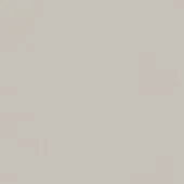 Solid gray color field, matte texture, uniform tone, consistent neutral palette, smooth surface, seamless background, monochromatic composition.