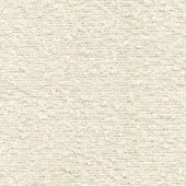 Rough off-white texture displaying granular particles, a mottled effect, and a matte finish, suitable for plaster or wall coverings.