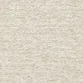 Beige granular texture with a matte finish, displaying a random, organic pattern of densely packed particles and a mottled surface.