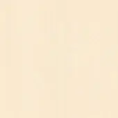 Beige textured surface with a matte finish, displaying a uniform, pale ivory tone and subtle grain throughout the composition.