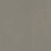 Muted gray texture with granular surface, consistent matte finish, and even diffuse lighting, resembling concrete or stone material.
