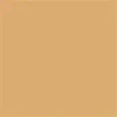 Muted brown color field, consistent matte tone, simple composition, smooth surface, dark topaz hue, intended as a graphic design element.
