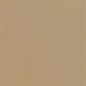 Bronze color field, uniform tone, flat composition, consistent surface, diffused lighting, simple visual element, rectangular shape.