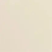 Beige monochromatic surface, smooth matte texture, evenly lit neutral background, pale warm tone, simple composition, solid color field.