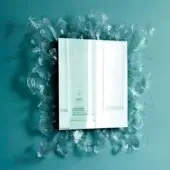 Rectangular mirror, white paneled frame, with translucent sculptural foliage extending from the frame against a teal wall.