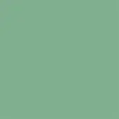 Muted green color field, matte finish, consistent tone resembling bamboo, solid background with no texture or discernible pattern, neutral composition.