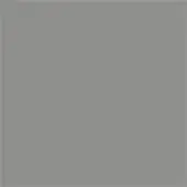 Cool gray color field, matte finish, uniform tone—501 fume swatch, desaturated neutral background, solid color composition, digital representation.