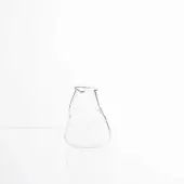 Clear glass vase, organic shape, asymmetrical design, sits on white glossy surface against a plain white backdrop, studio lighting.