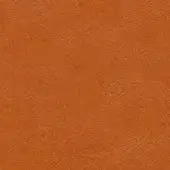 Earthy orange textured surface, granular matte finish, subtle tonal variations, diffuse lighting, close-up composition.