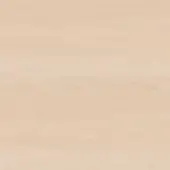 Birch wood texture, creamy beige tone, horizontal grain pattern, smooth consistent surface, fine sanded finish, diffused lighting.