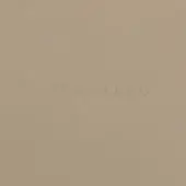Embossed “PRESETTO” text on a muted camel textured surface, displaying a fine granular pattern and matte finish with diffused, even lighting.