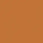 Terracotta color field, matte finish, monochromatic backdrop with consistent warm tone and uniform composition, lacking texture or design elements.