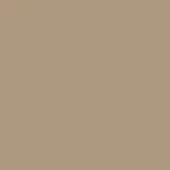 Muted brown color field, 50 fango shade, flat consistent tone, warm earthy hue, desaturated palette, uniform background, no texture present.
