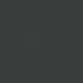 Dark gray matte surface, color 75 grigio antracite, displays uniform tone and subtle texture with diffused, even lighting throughout the composition.