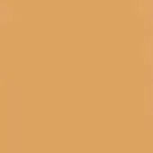 Muted orange color field, “92 senape” tone, uniform matte texture, consistent flat composition, diffuse lighting, simple visual presence.
