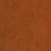 Terracotta texture displaying a granular, mottled pattern in warm rusty orange tones with subtle brown variations, creating an aged, organic surface.