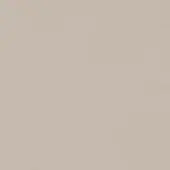 Muted gray textured surface, matte finish, even illumination, subtle tonal variations, solid color, no pattern, diffused lighting, neutral background.
