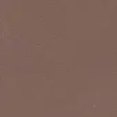 Brown textured surface with subtle tonal variations and imprinted “0505” marking, displaying a rough, uneven stucco-like quality in even lighting.