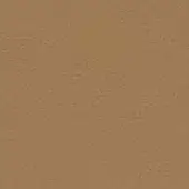 Warm brown textured surface with a granular, uneven quality and diffuse lighting, displaying a solid, consistent material tone.