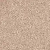 Beige granular texture composed of small particles, displaying matte finish with cream and brown tonal variations, suggesting compacted earthy material.