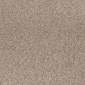 Granular taupe texture with a mottled, uniform surface composed of densely packed, irregular particles and diffuse, even lighting.