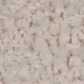 Off-white fibrous texture with beige and tan tones, displaying irregular, chaotic arrangement of plant-based material and darker brown fragments.