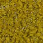 Woven fabric texture, mustard yellow with silvery-gray flecks, dense looped pile, irregular weave, tactile nubby surface, col. 021.