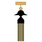 Decorative tassel with gold and black striped design, silver rod, and rectangular gold top against a white backdrop; n8 total black.