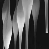 Hydra beta frosted sculptures, translucent white, elongated tapered forms with vertical ribbing against a black background.