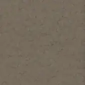 Mottled gray-brown texture with granular pattern, displaying dense, irregular bumps and indentations across a subtly uneven surface.