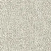 Granular texture in off-white, composed of irregular particles with a matte finish and neutral tone, displaying subtle shading variations.