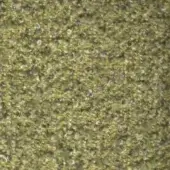 Green pine texture displaying granular surface with irregular particles, muted olive tone, matte finish, raw material sample c150.