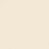 Ivory semi-gloss surface with fine grain texture, warm off-white color, and diffused lighting; includes “a18l – ivory semi gloss” text.