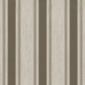 Beige and brown vertical stripe fabric texture with woven grain, labeled “c66 – beige barre”, even lighting, neutral textile pattern.