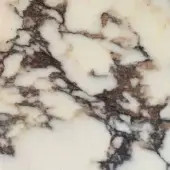 Calacatta Viola marble texture with bright white background, dark brown and burgundy veins, polished sheen, crystalline structure.