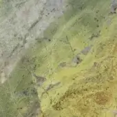Variegated stone texture in pale green and yellow tones with white and brown, featuring irregular veins and matte finish.