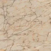 Marble texture, light beige with dark brown and black veining, displaying irregular branching patterns and a polished, smooth surface.