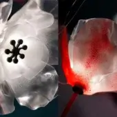 Prisma suspension lamp, white translucent shade, textured petals with central black emblem and vibrant red speckled interior lighting.
