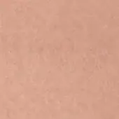 Blush fabric swatch with a matte, granular texture; woven construction, warm neutral tone, and egoitaliano label reading “902”.