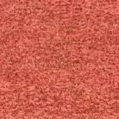 Coral looped pile fabric texture, egoitaliano dalia, dense fibers with heathered color variations, soft tactile surface.