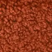 Terracotta looped pile fabric texture by egoitaliano, displaying a dense, fuzzy surface with varied loop heights and an organic feel.
